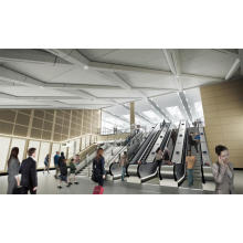 Детали лифта Интеллектуальное использование эскалатора в общественных местах